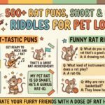 500+ Rat Puns Short and Funny Riddles for Pet Lovers